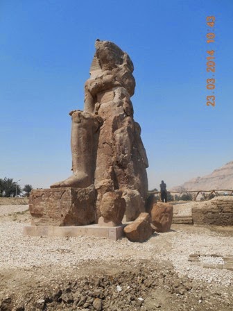 Inaugurato a Luxor il terzo colosso di Amenofi III - Djed Medu