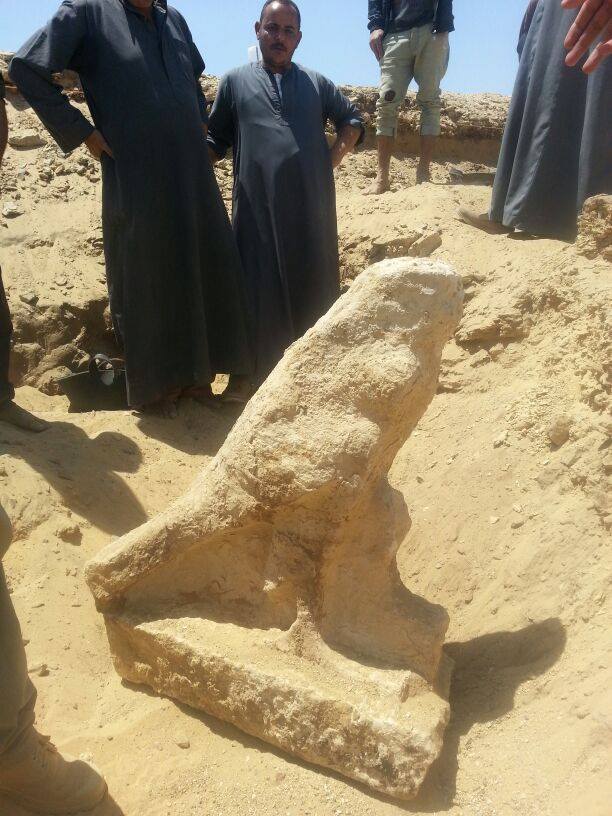 Saqqara, missione italo-olandese scopre statua di falco - Djed Medu