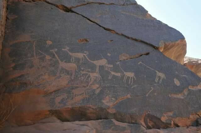 Wadi Abu Subeira: scoperti graffiti di 15.000 anni - Djed Medu