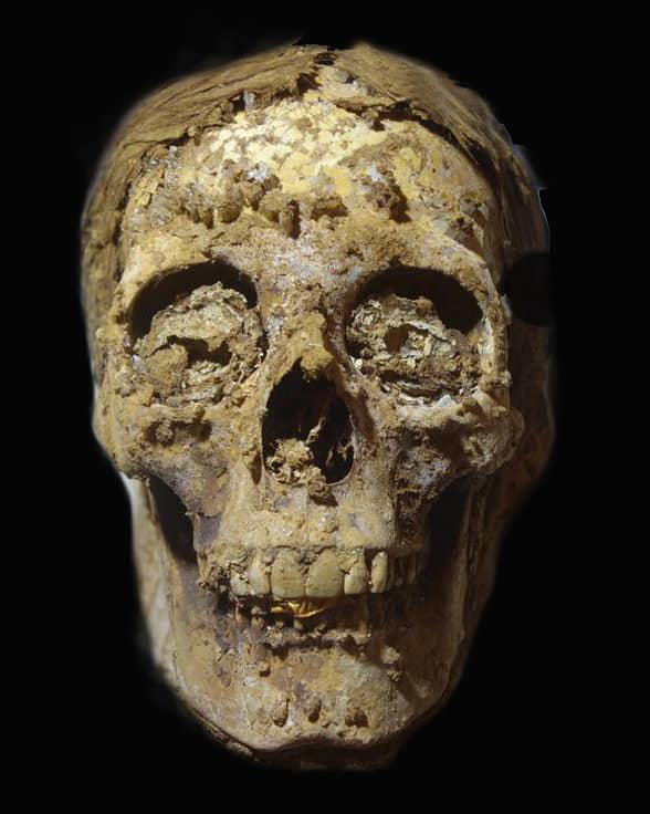 Ossirinco, scoperte due tombe di Epoca Tarda con mummie dalla lingua d'oro - Djed Medu