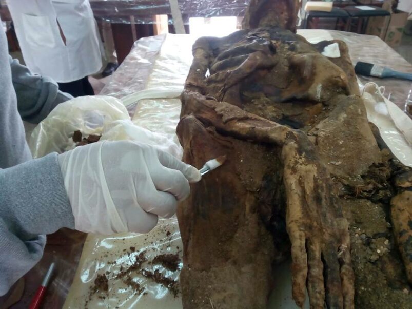 Restaurate 7 mummie dall'Oasi di Dakhla - Djed Medu