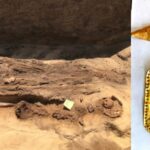 Il più antico allineamento con il solstizio d'inverno per una tomba di 3800 anni ad Assuan - Djed Medu