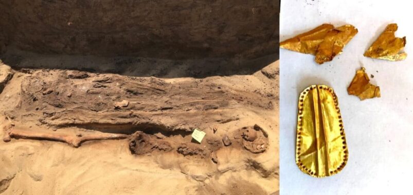 Scoperte nel Delta mummie dalla lingua d'oro - Djed Medu