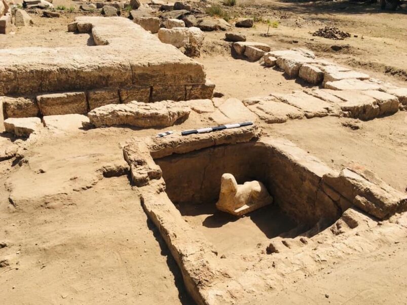 Dendera, scoperta sfinge con il volto dell'imperatore Claudio - Djed Medu