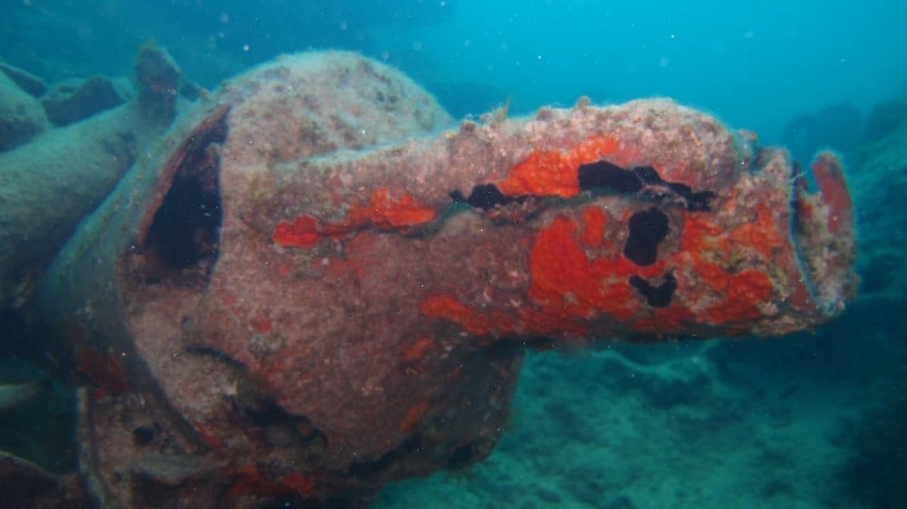 El Alamein, scoperto relitto del III sec. a.C. con centinaia di anfore - Djed Medu