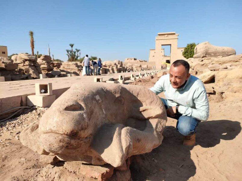 Scoperte tre teste d'ariete nel Viale delle Sfingi di Luxor - Djed Medu