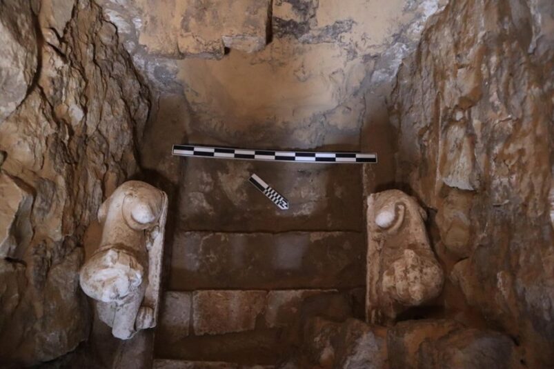 Saqqara, scoperte catacombe di epoca romana - Djed Medu