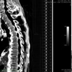 Il segreto per una piega perfetta è nella cera d'api - Djed Medu