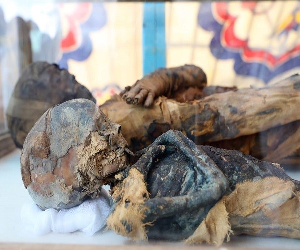 Sohag, Tomba tolemaica dai colori vividi e 50 mummie animali - Djed Medu