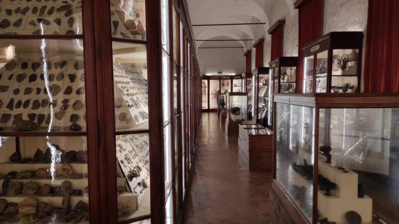 "Egitto di Provincia": Museo Chierici di Paletnologia (Musei Civici di Reggio Emilia) - Djed Medu