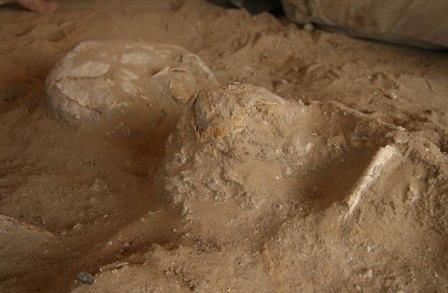 Cimitero neolitico di bambini scoperto nel sud dell'Egitto - Djed Medu